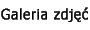 Galeria zdj
